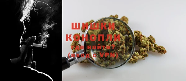 ПСИЛОЦИБИНОВЫЕ ГРИБЫ Абдулино