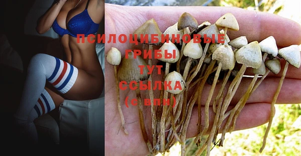 ПСИЛОЦИБИНОВЫЕ ГРИБЫ Абдулино