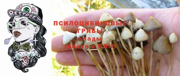 spice Абинск