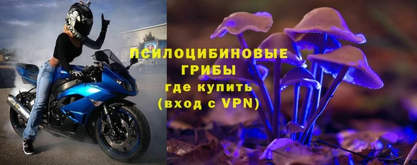 spice Абинск